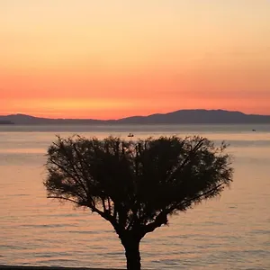 studio-rio-marina.it-tuscanyhotel.com/